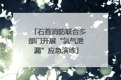 石首消防联合多部门开展“氯气泄漏”应急演练