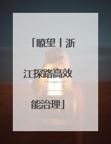 瞭望丨浙江探路高效能治理