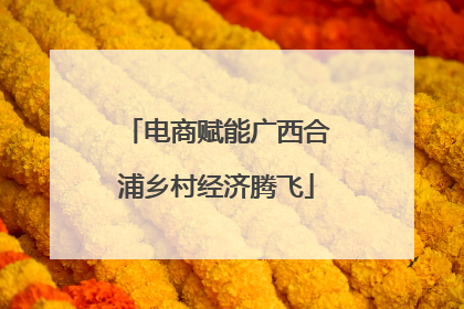 电商赋能广西合浦乡村经济腾飞
