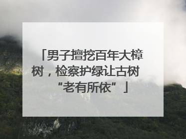 男子擅挖百年大樟树，检察护绿让古树“老有所依”