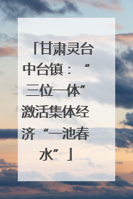 甘肃灵台中台镇：“三位一体”激活集体经济“一池春水”