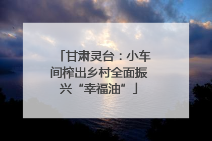 甘肃灵台：小车间榨出乡村全面振兴“幸福油”