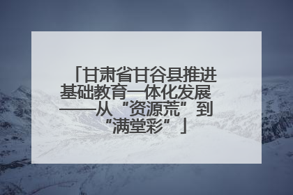 甘肃省甘谷县推进基础教育一体化发展——从“资源荒”到“满堂彩”