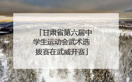 甘肃省第六届中学生运动会武术选拔赛在武威开赛