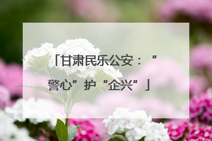 甘肃民乐公安：“警心”护“企兴”