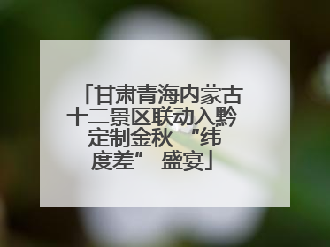甘肃青海内蒙古十二景区联动入黔 定制金秋 “纬度差” 盛宴