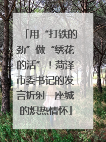 用“打铁的劲”做“绣花的活”！菏泽市委书记的发言折射一座城的炽热情怀