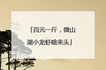 百元一斤，微山湖小龙虾啥来头
