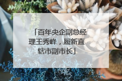 百年央企副总经理王秀峰，履新直辖市副市长