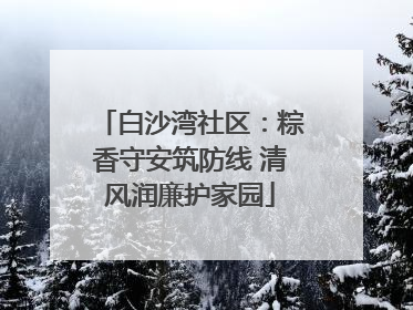 白沙湾社区：粽香守安筑防线 清风润廉护家园