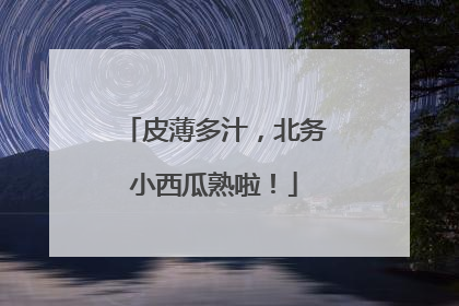 皮薄多汁，北务小西瓜熟啦！