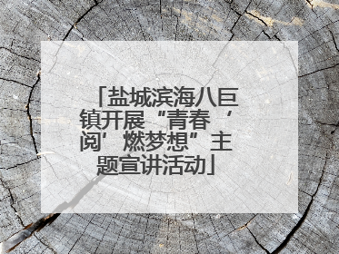 盐城滨海八巨镇开展“青春‘阅’燃梦想”主题宣讲活动