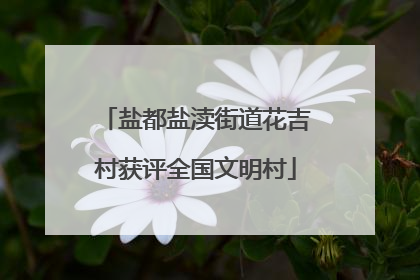 盐都盐渎街道花吉村获评全国文明村