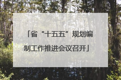 省“十五五”规划编制工作推进会议召开