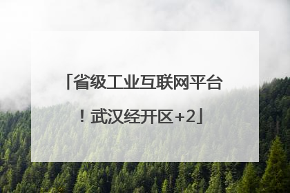 省级工业互联网平台！武汉经开区+2
