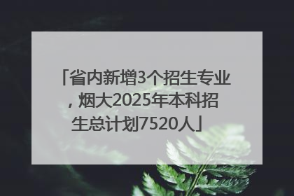 省内新增3个招生专业，烟大2025年本科招生总计划7520人