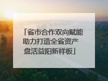 省市合作双向赋能 助力打造全省资产盘活益阳新样板