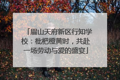 眉山天府新区行知学校：枇杷橙黄时，共赴一场劳动与爱的盛宴