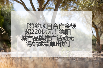 签约项目合作金额超220亿元！德阳城市品牌推广活动无锡站成绩单出炉