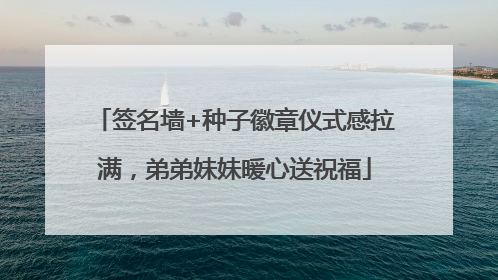 签名墙+种子徽章仪式感拉满，弟弟妹妹暖心送祝福