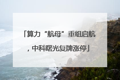 算力“航母”重组启航，中科曙光复牌涨停