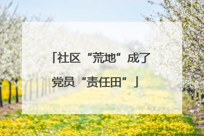 社区“荒地”成了党员“责任田”