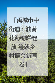 禹城市中街道：油葵花海绚烂绽放 绘就乡村振兴新画卷