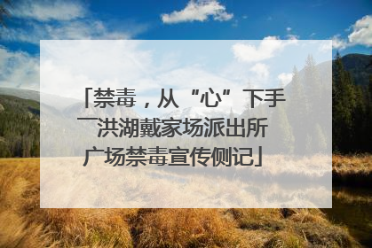 禁毒，从“心”下手――洪湖戴家场派出所广场禁毒宣传侧记