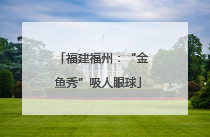 福建福州：“金鱼秀”吸人眼球