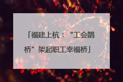 福建上杭：“工会鹊桥”架起职工幸福桥
