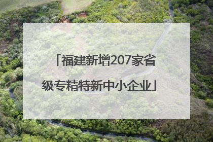 福建新增207家省级专精特新中小企业