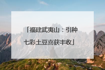 福建武夷山：引种七彩土豆喜获丰收