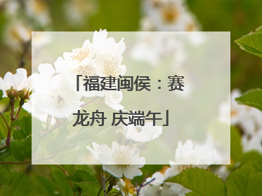 福建闽侯：赛龙舟 庆端午
