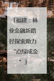 福建：林业金融新路径探索助力“点绿成金”
