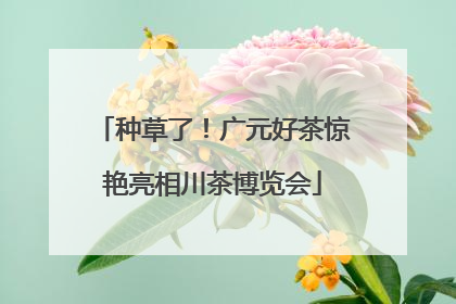 种草了！广元好茶惊艳亮相川茶博览会