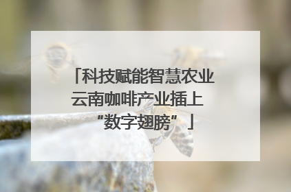 科技赋能智慧农业 云南咖啡产业插上“数字翅膀”