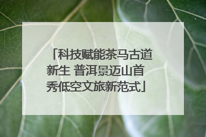 科技赋能茶马古道新生 普洱景迈山首秀低空文旅新范式