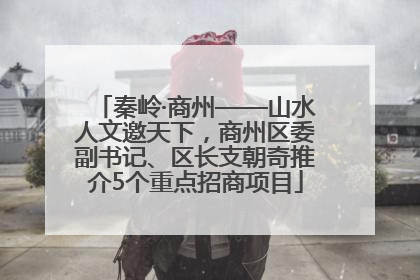 秦岭·商州——山水人文邀天下，商州区委副书记、区长支朝奇推介5个重点招商项目