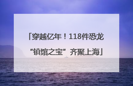 穿越亿年！118件恐龙“镇馆之宝”齐聚上海