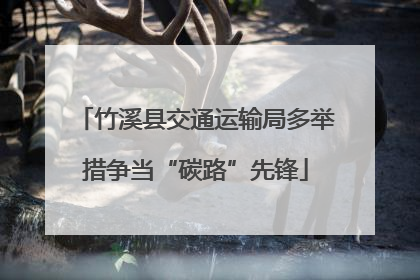 竹溪县交通运输局多举措争当“碳路”先锋