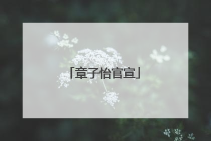 章子怡官宣