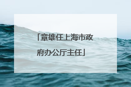 章雄任上海市政府办公厅主任