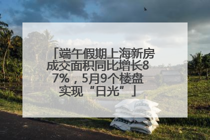 端午假期上海新房成交面积同比增长87%，5月9个楼盘实现“日光”