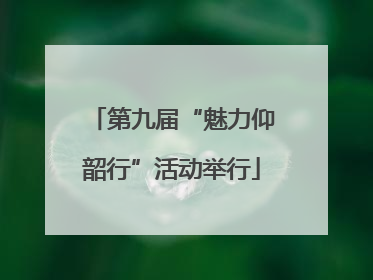 第九届“魅力仰韶行”活动举行