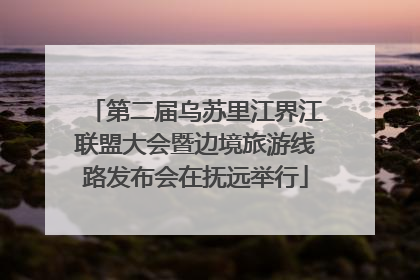 第二届乌苏里江界江联盟大会暨边境旅游线路发布会在抚远举行