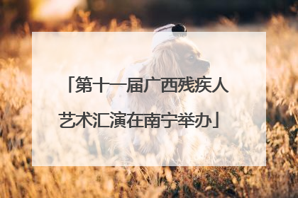 第十一届广西残疾人艺术汇演在南宁举办