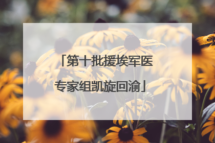 第十批援埃军医专家组凯旋回渝