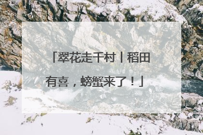 翠花走千村丨稻田有喜，螃蟹来了！