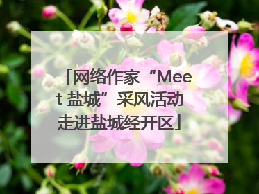 网络作家“Meet 盐城”采风活动走进盐城经开区