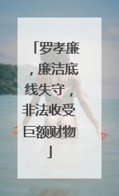 罗孝廉，廉洁底线失守，非法收受巨额财物
